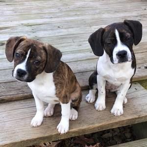 Meet your Posher, Tracey